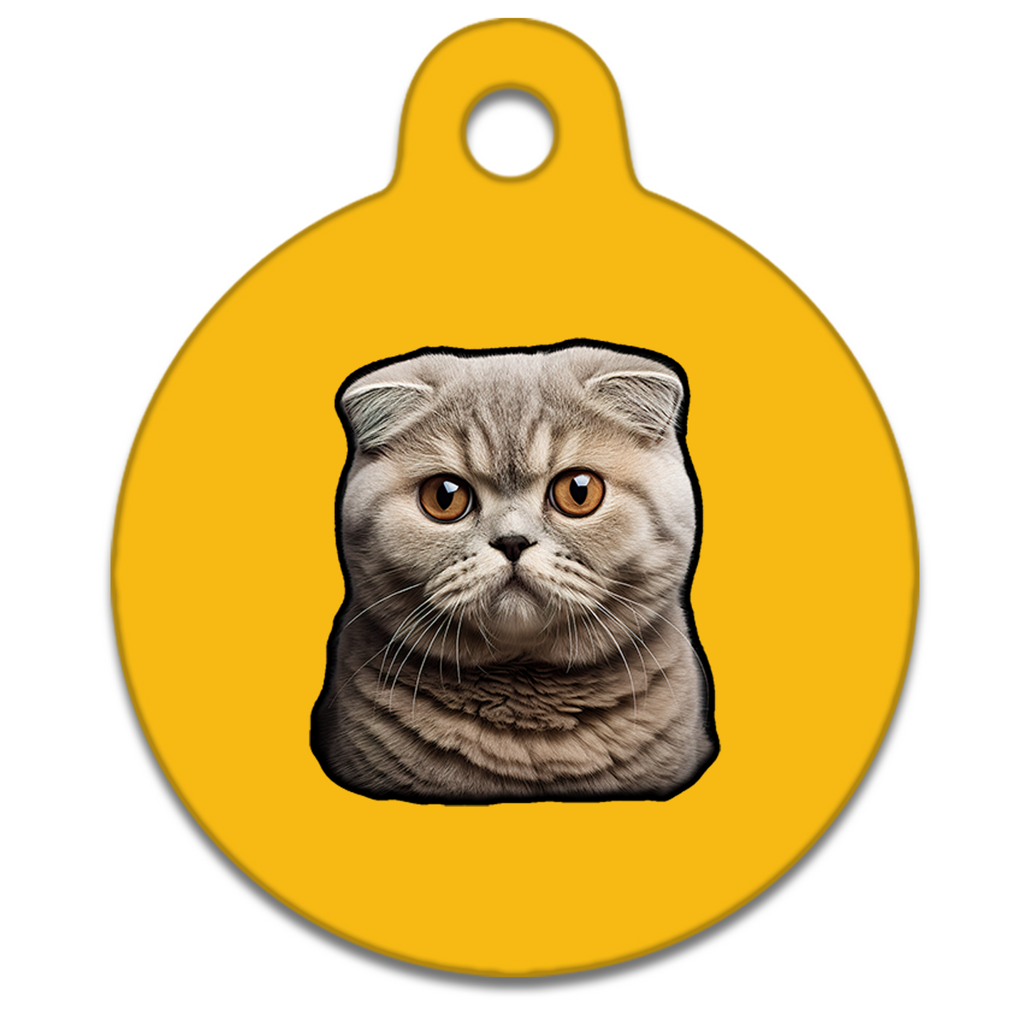19mm Diameter Tiny Size - Scottish Fold