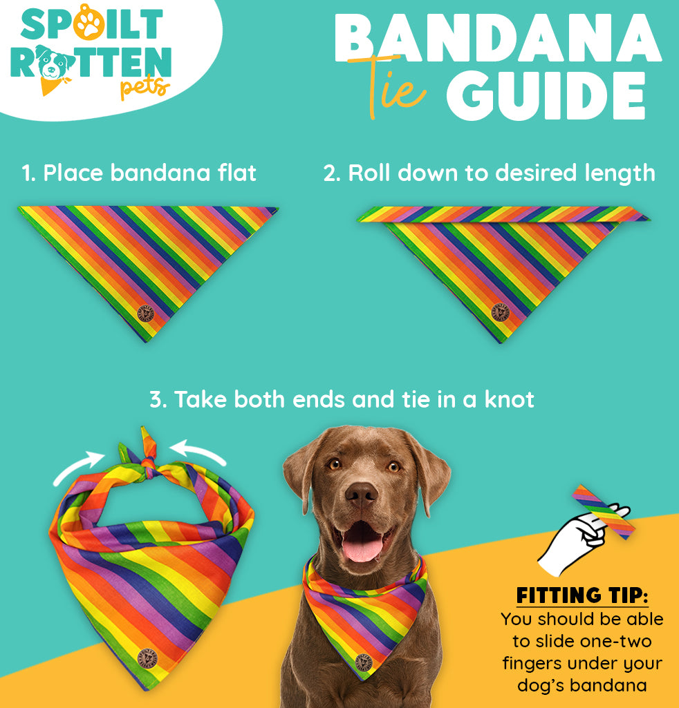 The Liverpool - Large Star on Red Tied Dog Bandana