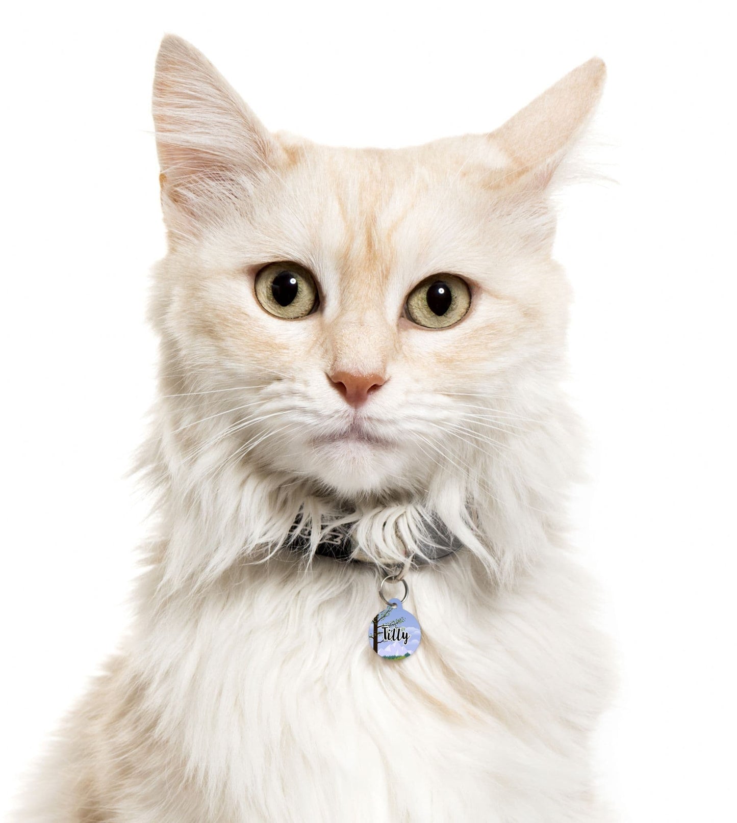 Blue Sky Mountain & Tree - Cat ID Tag