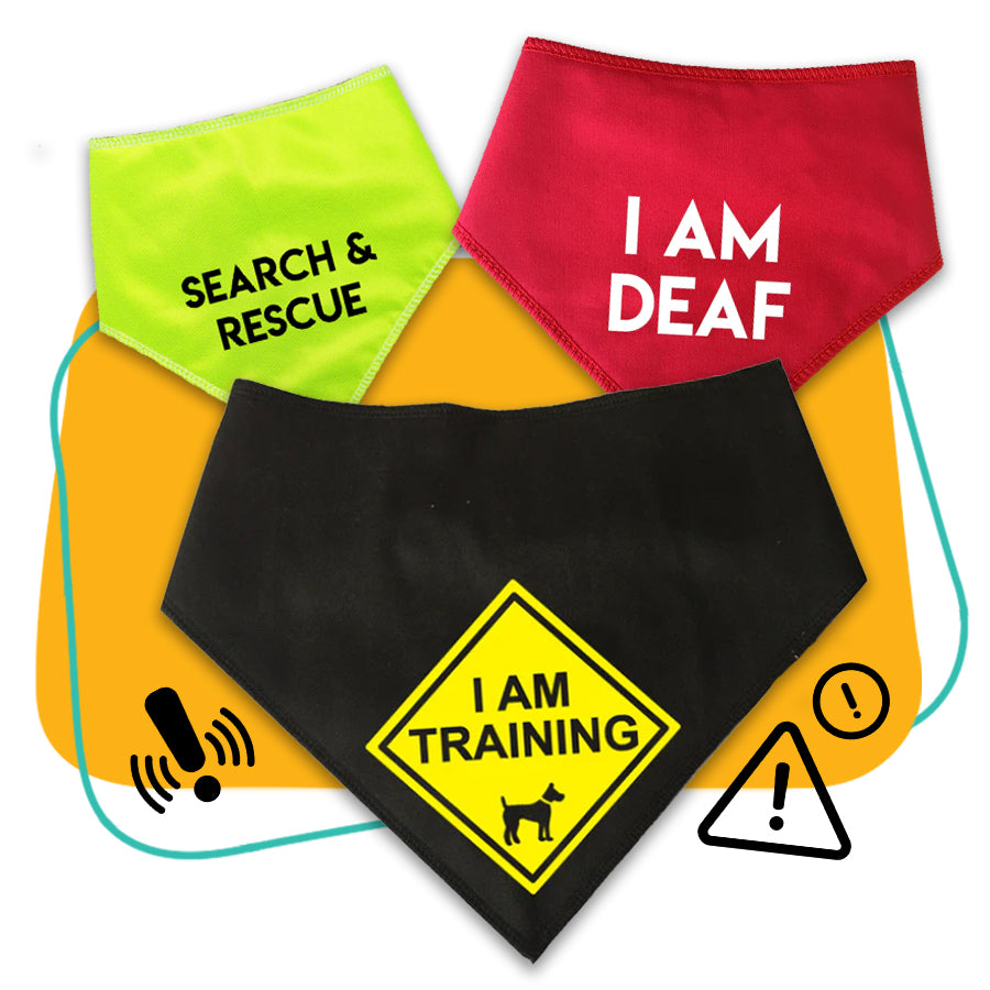Alert – Spoilt Rotten Pets