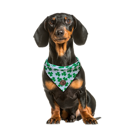 The Limerick - Shamrocks on White Tied Dog Bandana