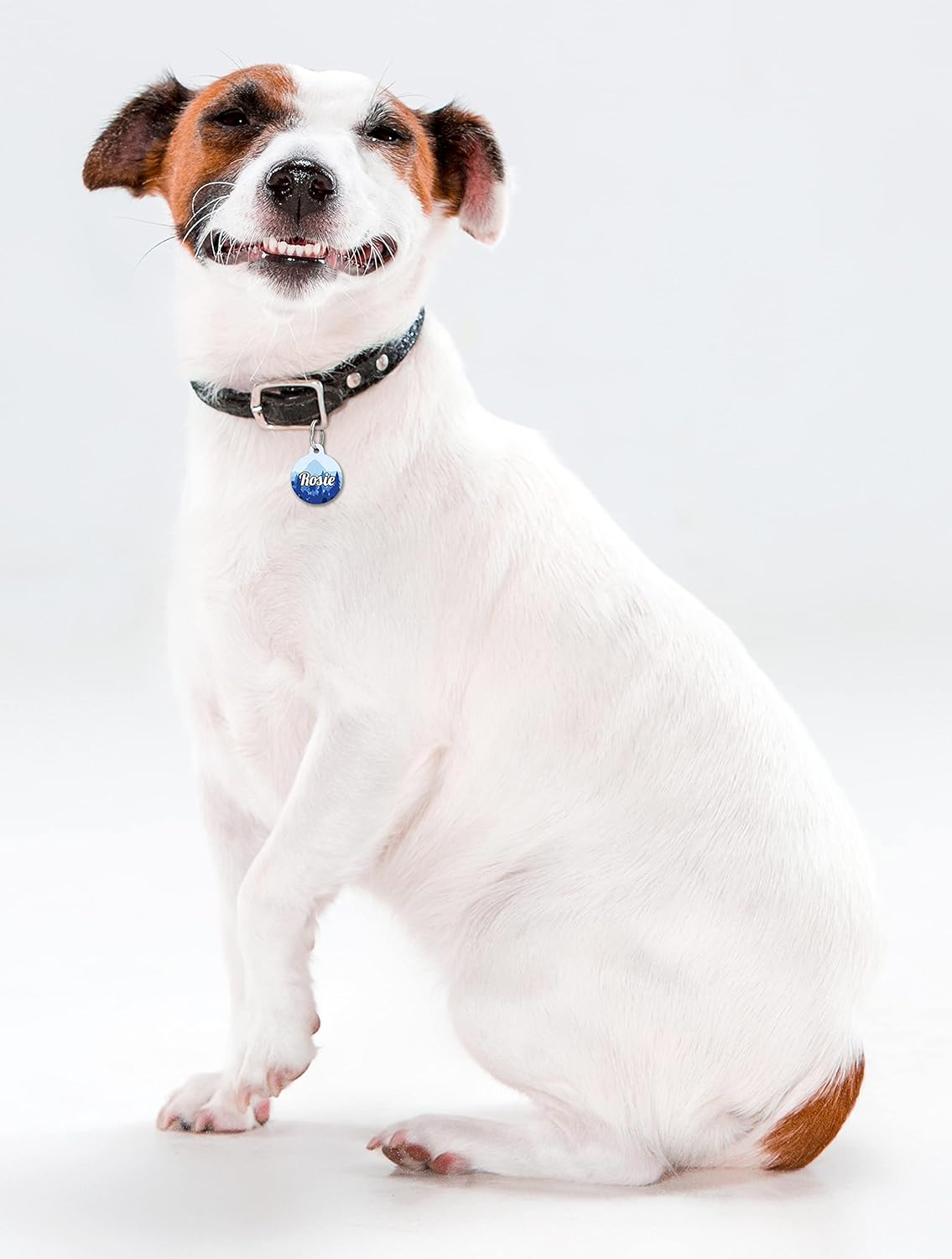 Mountain Blue Fir Forest - Pet ID Tag