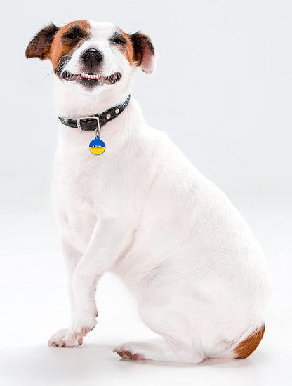 Ukraine Flag - Pet ID Tag