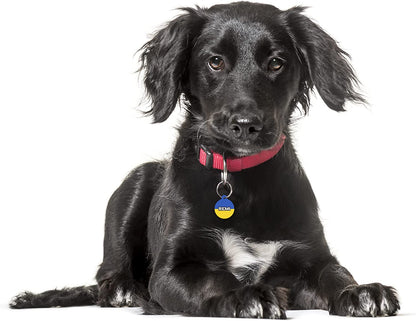 Ukraine Flag - Pet ID Tag