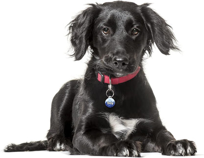Mountain Blue Fir Forest - Pet ID Tag