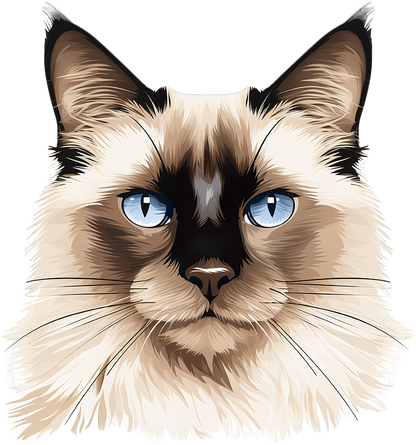 Cats Because Humans Are Twats Custom Breed