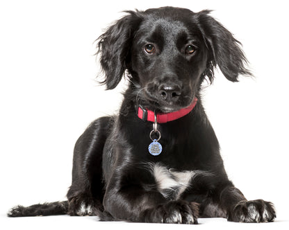 I Bark For No Fucking Reason - Pet ID Tag