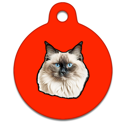 25mm Diameter Small Size - Birman Cat