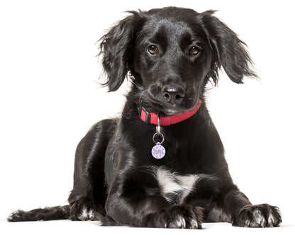 Lilac & Pink Hearts - Pet ID Tag