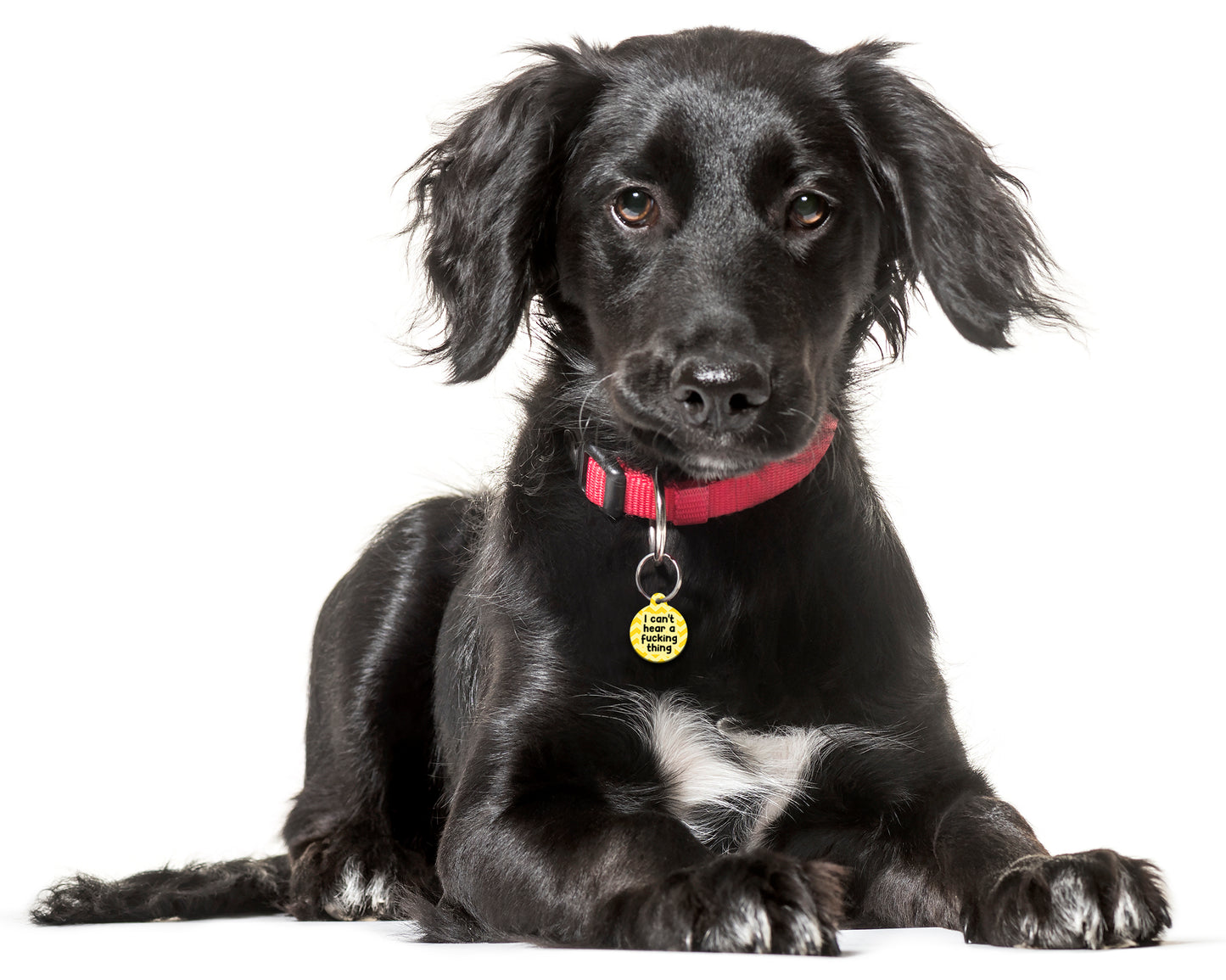 I Can't Hear A Fucking Thing - Pet ID Tag