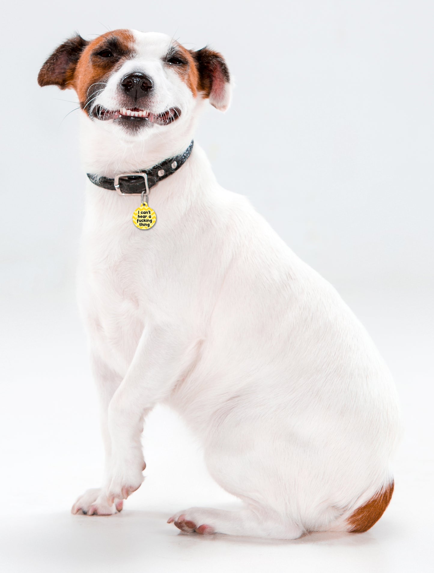 I Can't Hear A Fucking Thing - Pet ID Tag