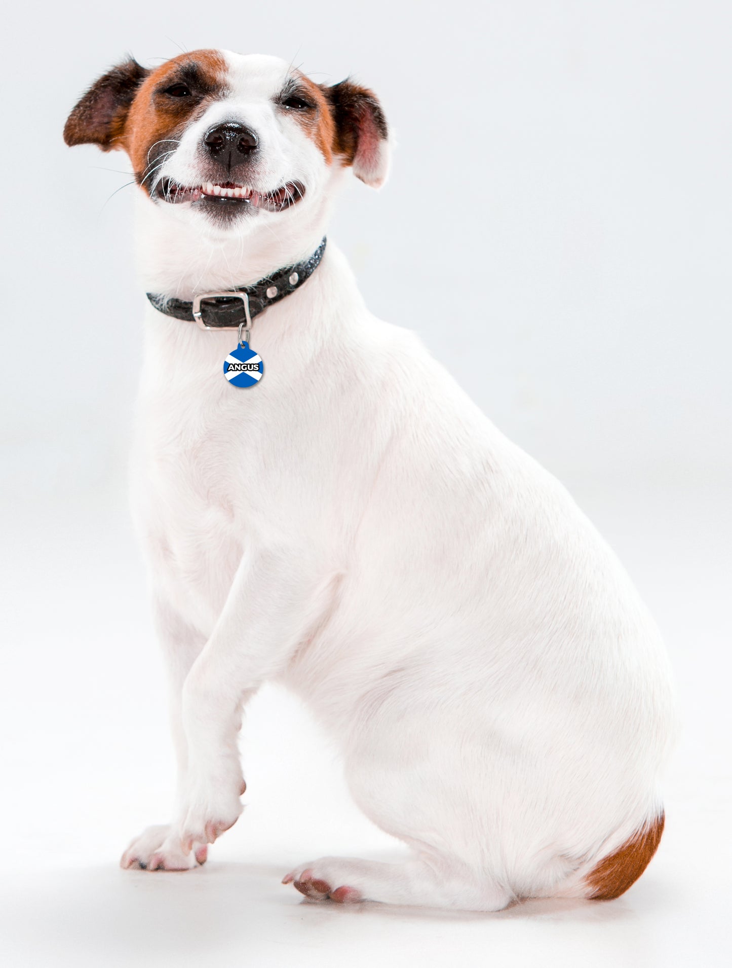 Scotland - Pet ID Tag