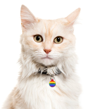 Rainbow Pride Stripe - Pet ID Tag