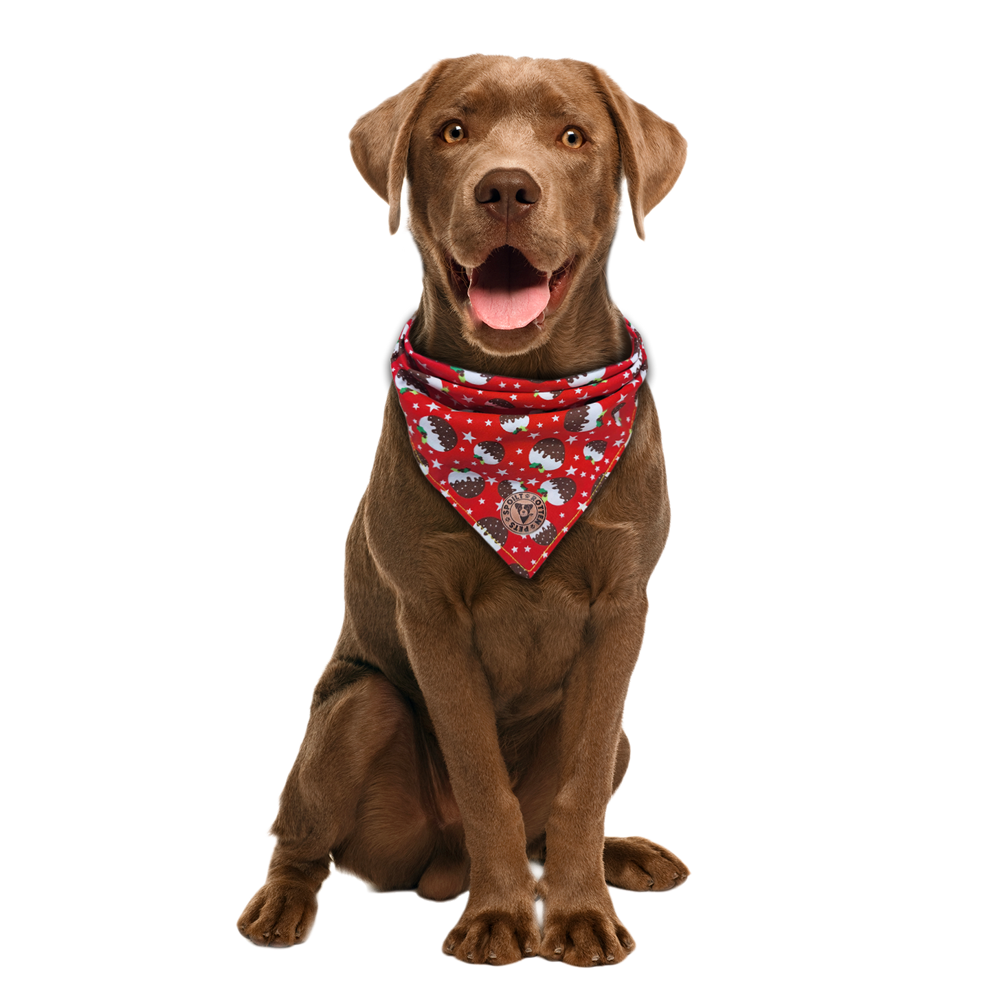 The Bakewell - Christmas Pudding Tied Dog Bandana
