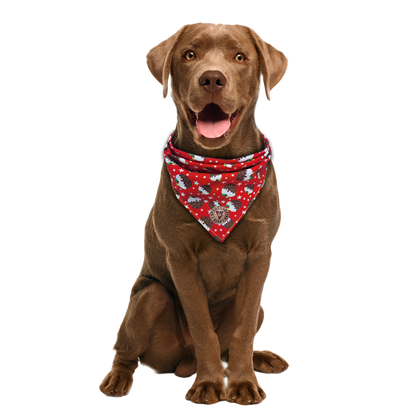 The Bakewell - Christmas Pudding Tied Dog Bandana