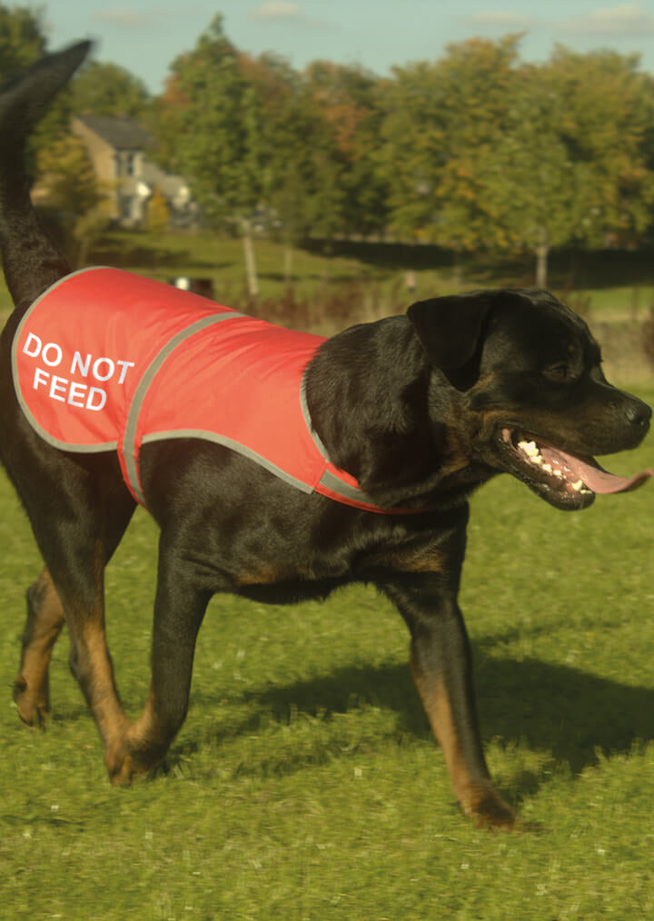 'Do Not Feed' High Visibility Lightweight Coat
