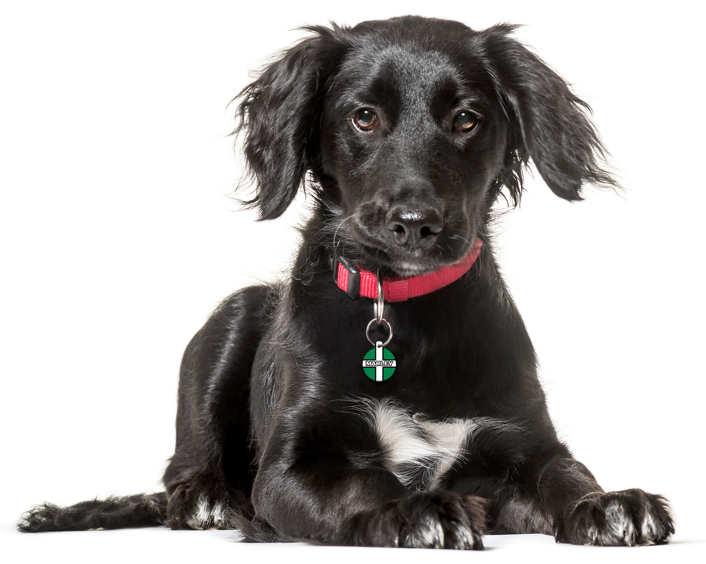 Devon Flag - Pet ID Tag