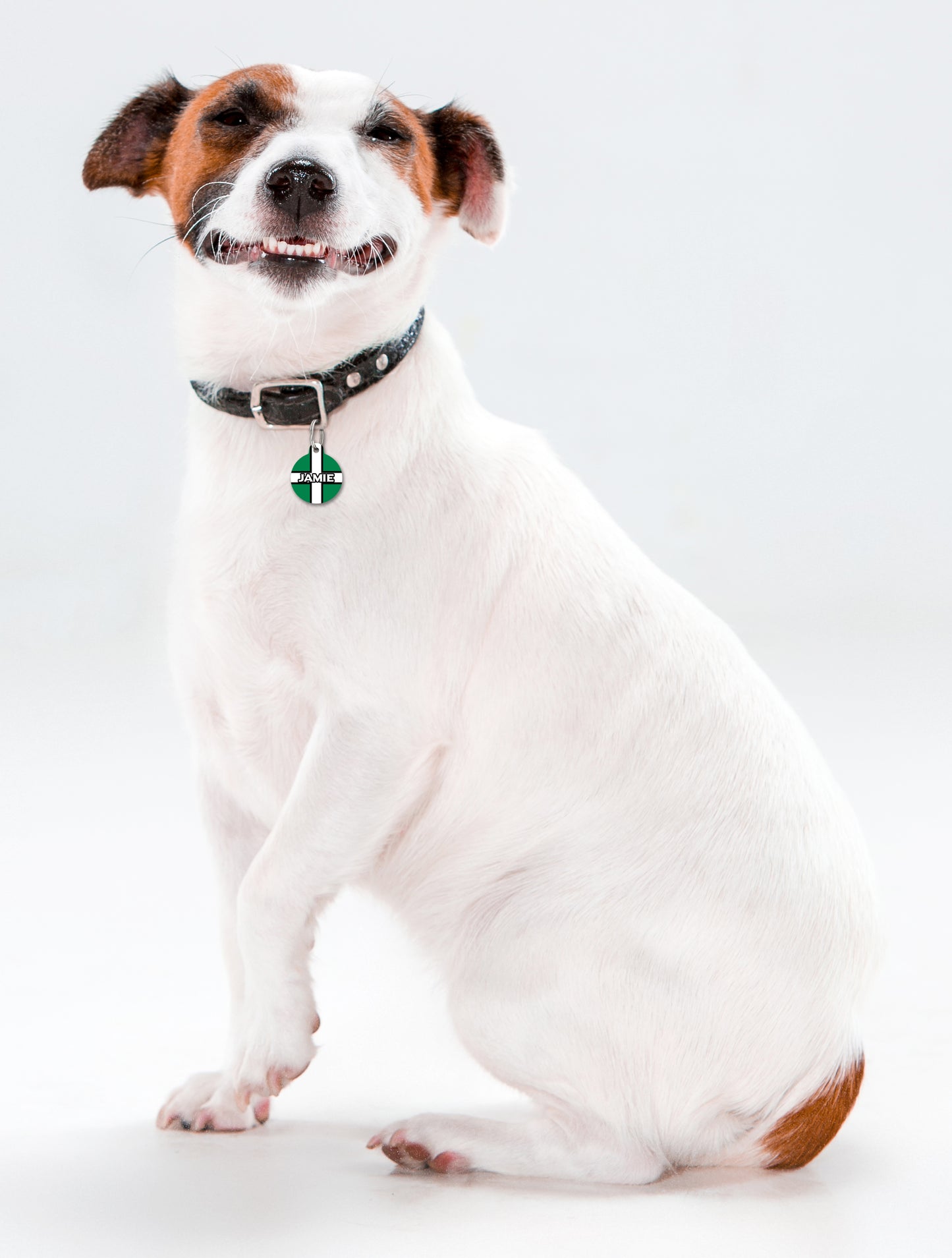Devon Flag - Pet ID Tag