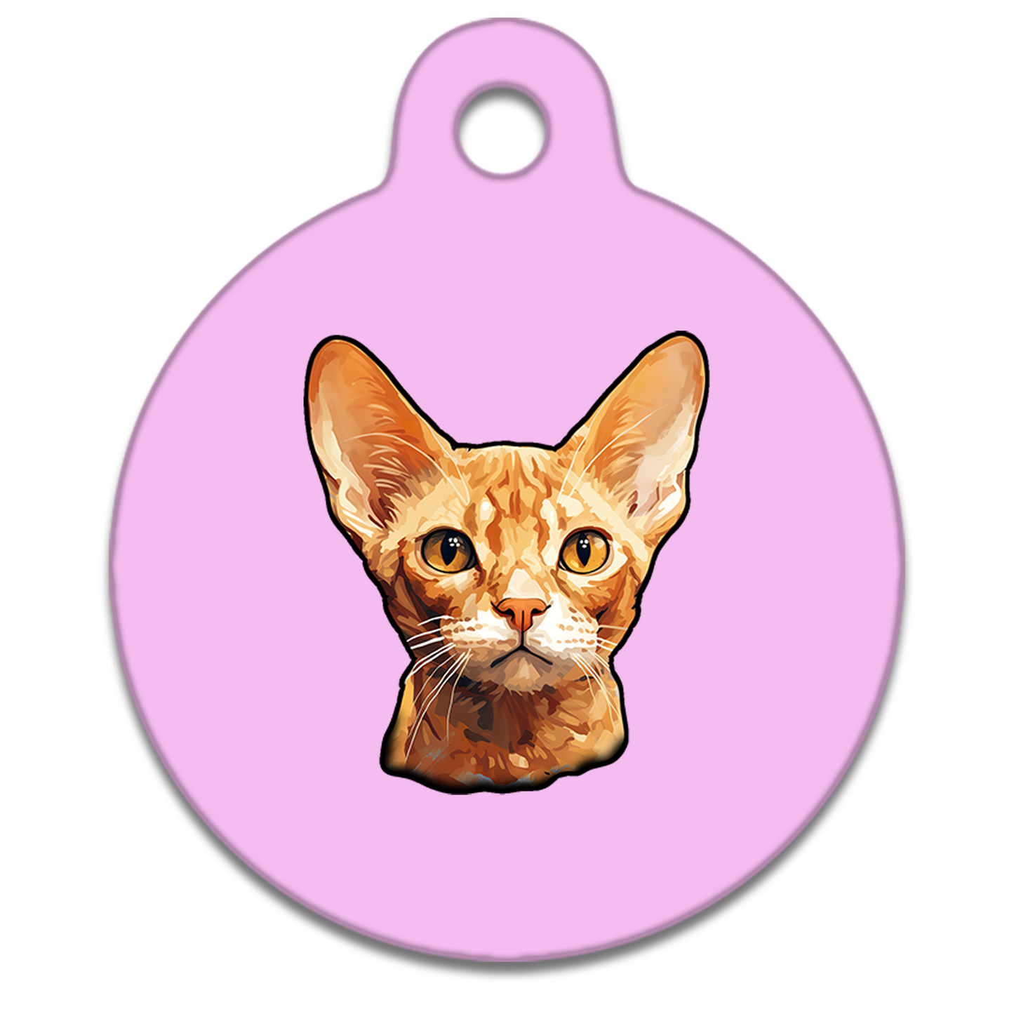 25mm Diameter Small Size - Devon Rex