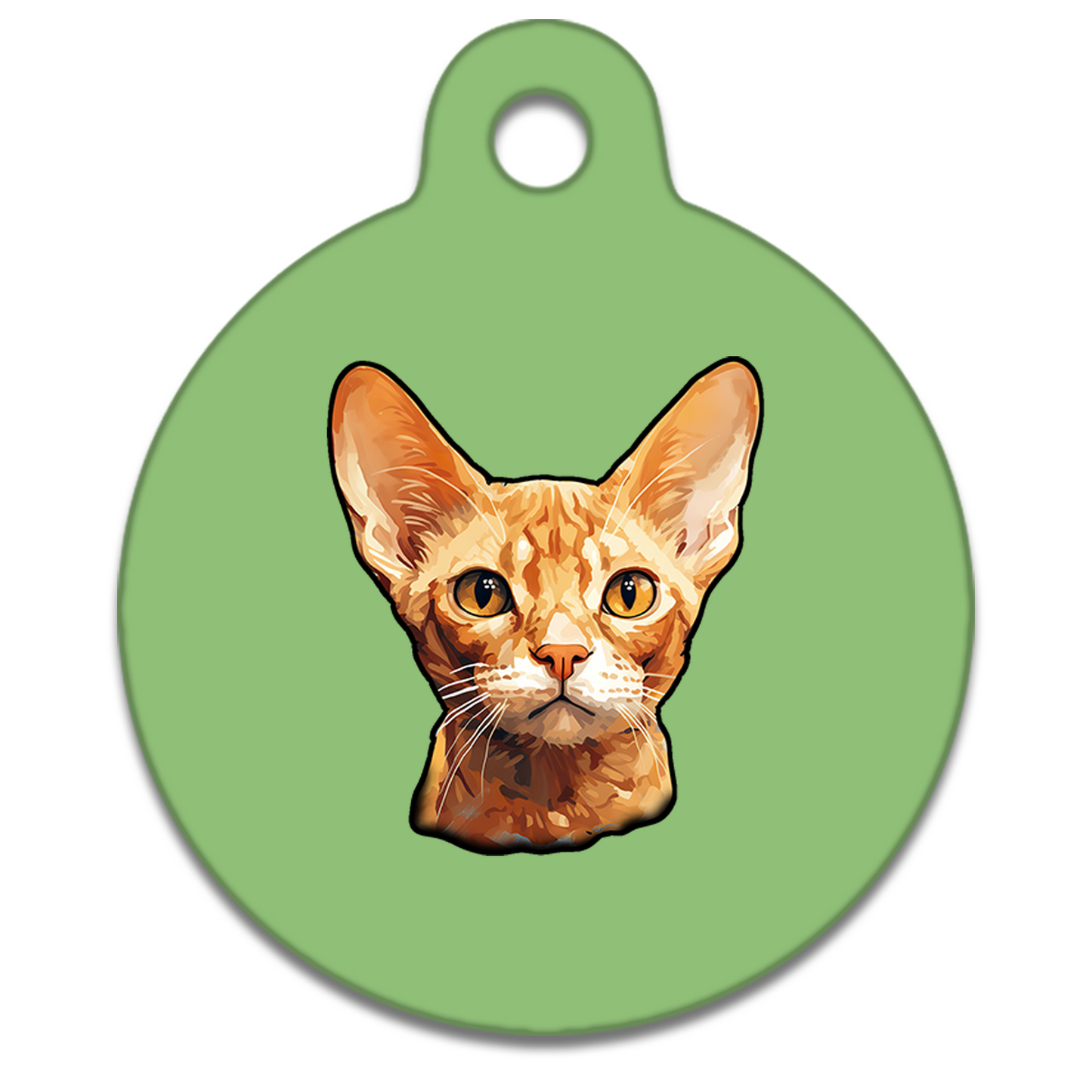 25mm Diameter Small Size - Devon Rex