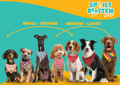 The St Ives - Tiny Star Turquoise Tied Dog Bandana