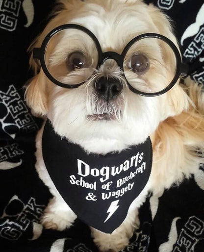 Mischief Managed Wizard Dog Bandana