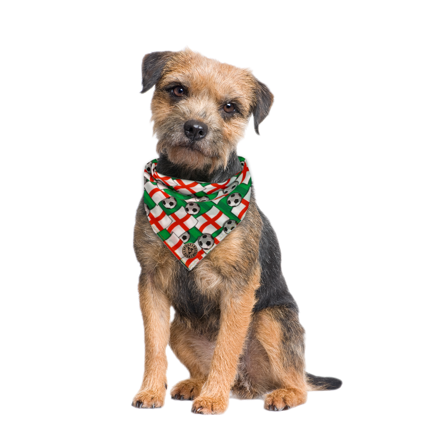 The Wembley - Football Flag Tied Dog Bandana