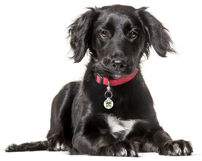Campervan Green VW Dub Dog - Pet ID Tag