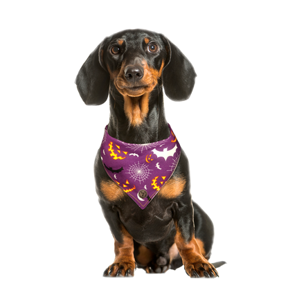 The Pomeroy - Grinning Pumpkins & Webs & Bats Tied Dog Bandana