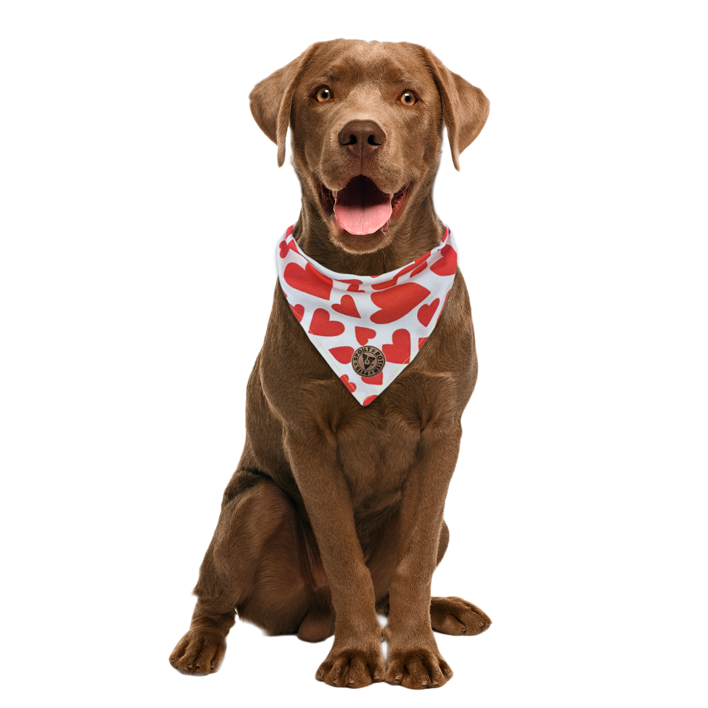 The Romsey - Red Hearts Tied Dog Bandana