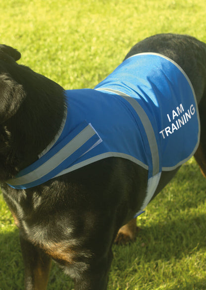 'I Am Training' High Visibility Lightweight Coat