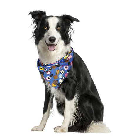 The Scarborough - Liquorice Allsorts Blue Tied Dog Bandana