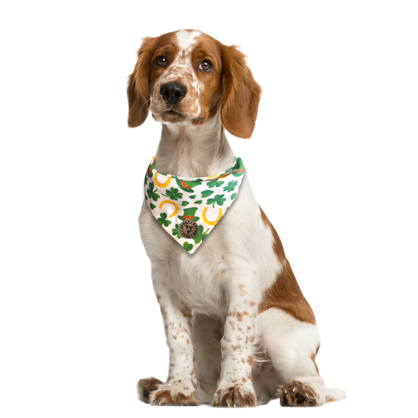 The Dublin - Lucky Irish Tied Dog Bandana