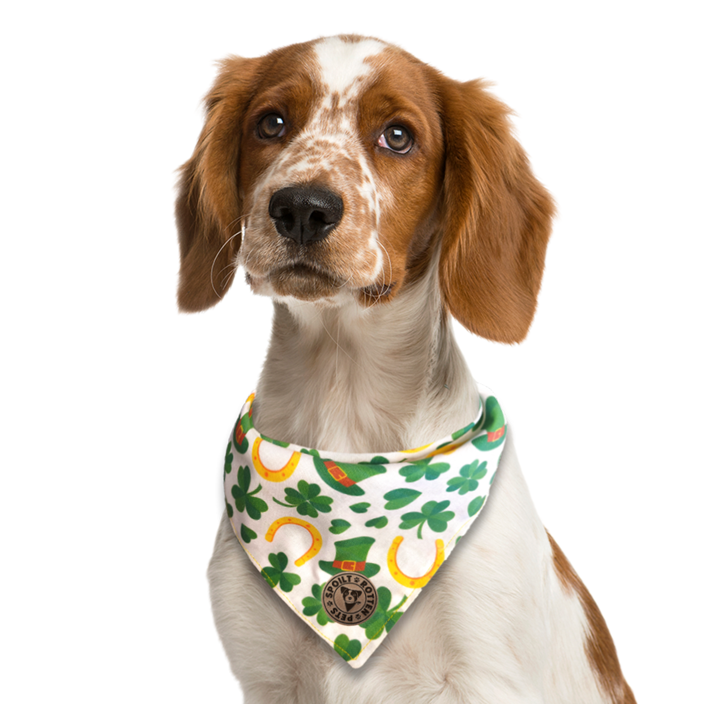 The Dublin - Lucky Irish Tied Dog Bandana