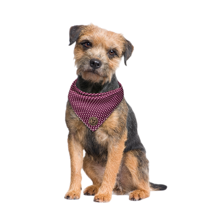 The Darlington - Mini Stars on Purple Tied Dog Bandana