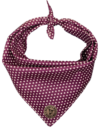 The Darlington - Mini Stars on Purple Tied Dog Bandana