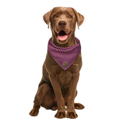 The Darlington - Mini Stars on Purple Tied Dog Bandana