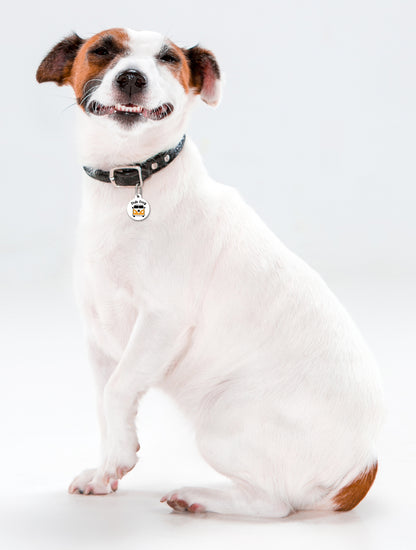 Campervan Orange VW Dub Dog - Pet ID Tag
