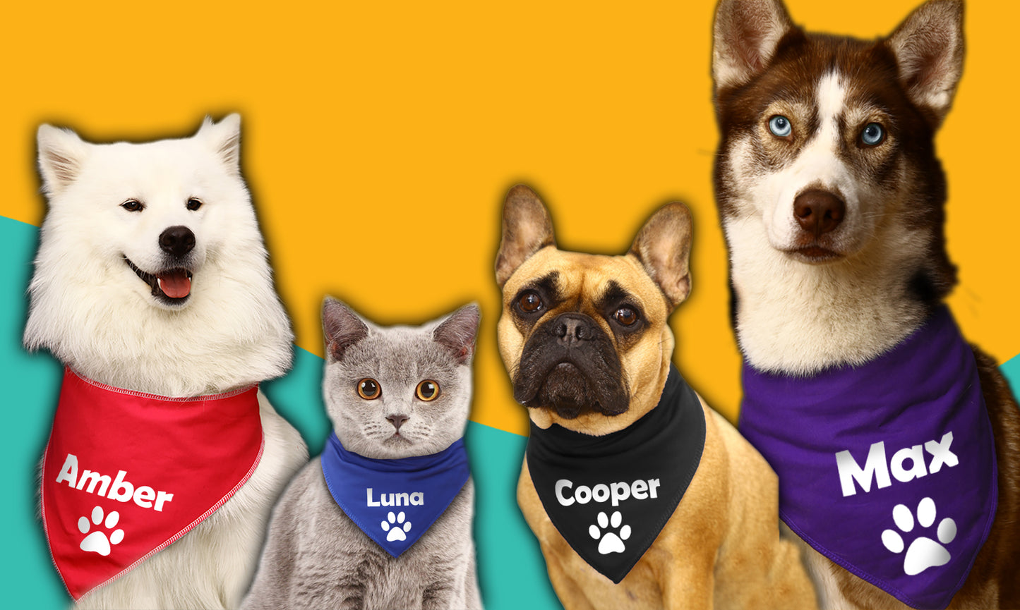 BLUE Paw Any Wording Or Name Dog Bandana
