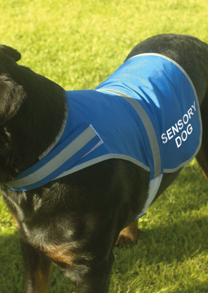 'Sensory Dog' High Visibility Lightweight Coat