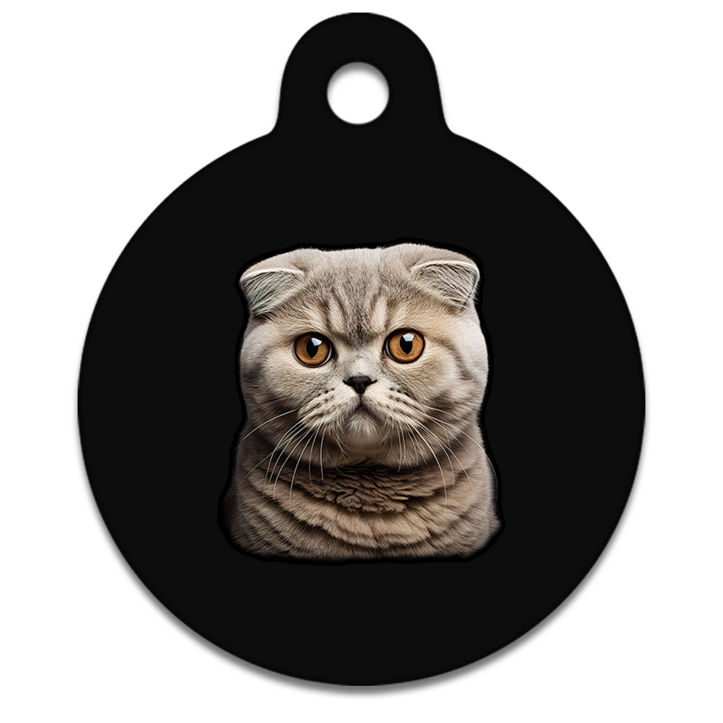 19mm Diameter Tiny Size - Scottish Fold