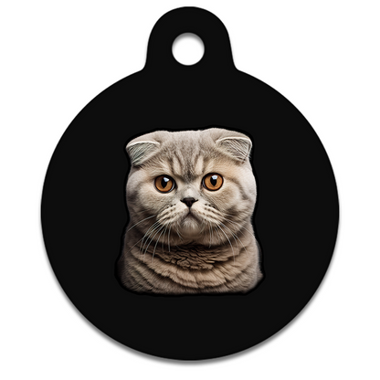 19mm Diameter Tiny Size - Scottish Fold