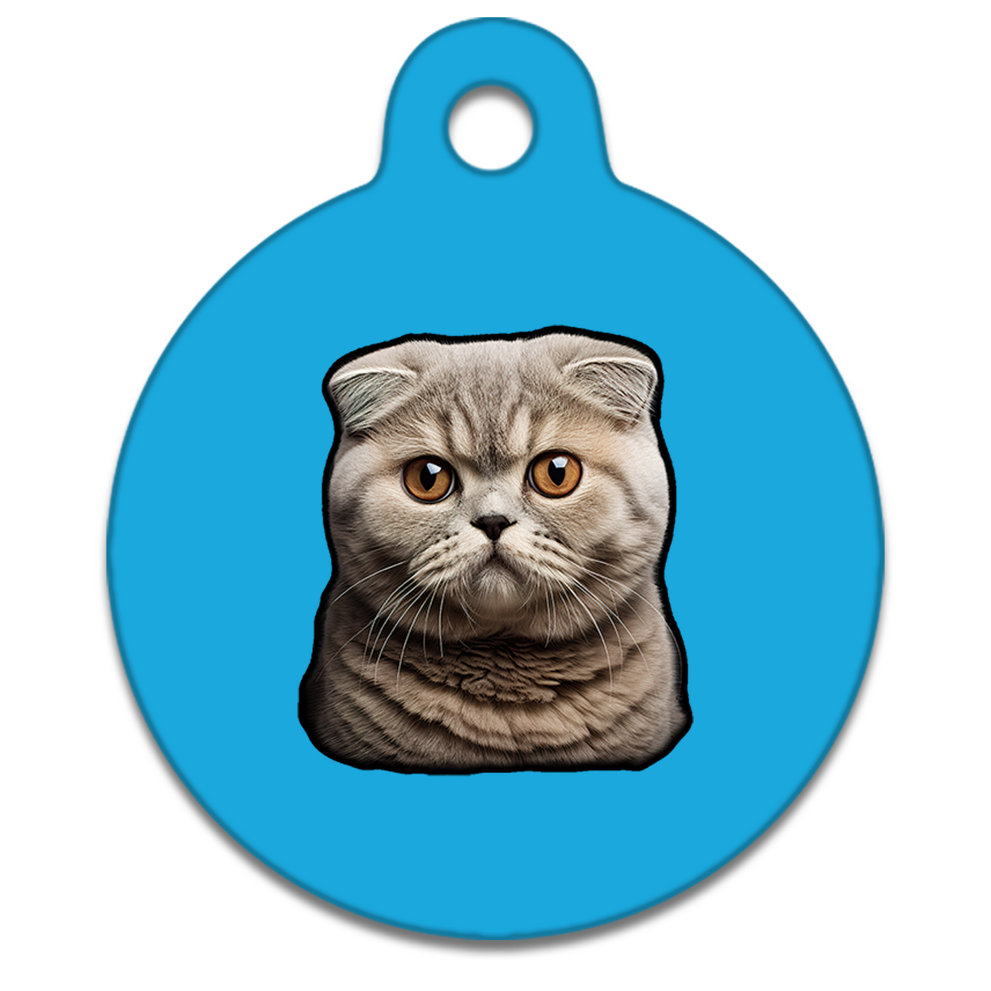 19mm Diameter Tiny Size - Scottish Fold