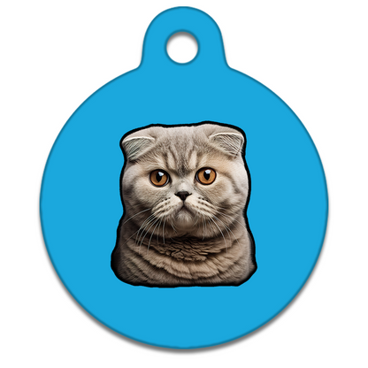 19mm Diameter Tiny Size - Scottish Fold