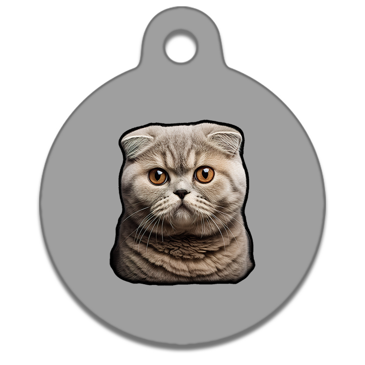 19mm Diameter Tiny Size - Scottish Fold