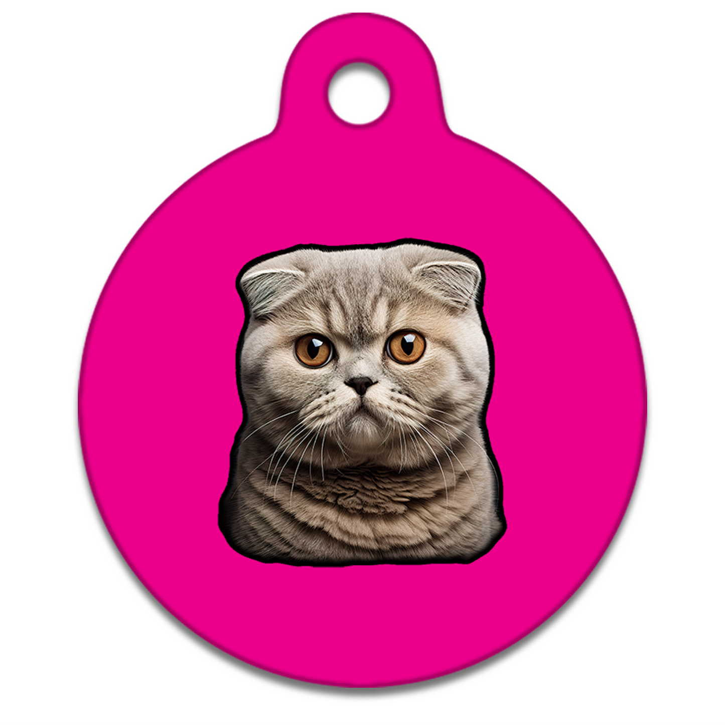 19mm Diameter Tiny Size - Scottish Fold