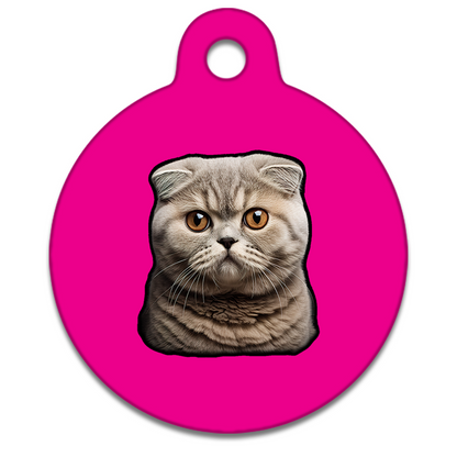 19mm Diameter Tiny Size - Scottish Fold