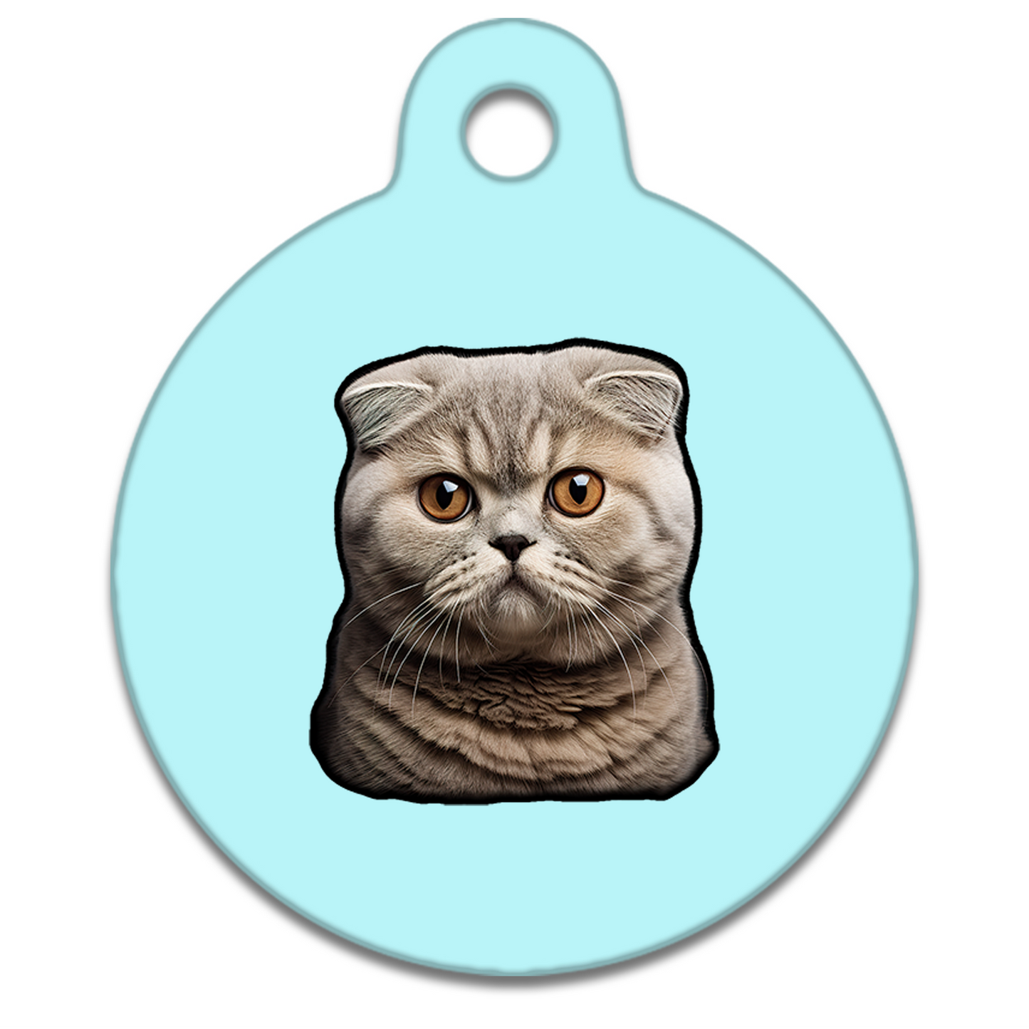19mm Diameter Tiny Size - Scottish Fold