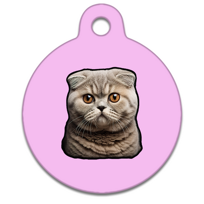 19mm Diameter Tiny Size - Scottish Fold
