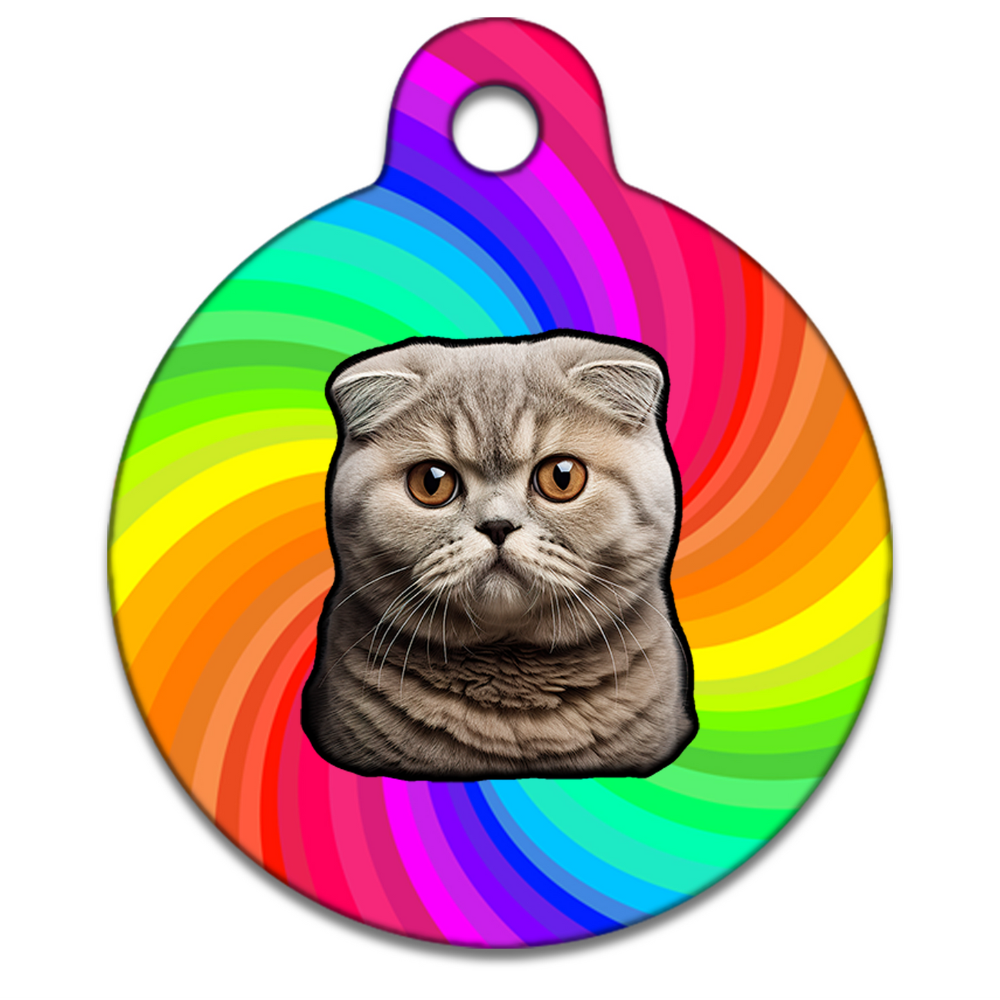 19mm Diameter Tiny Size - Scottish Fold